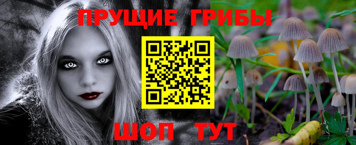 Богородск  Галлюциногенные грибы прущие грибы  Вход с VPN  наркошоп  Галлюциногенные грибы мухоморы 