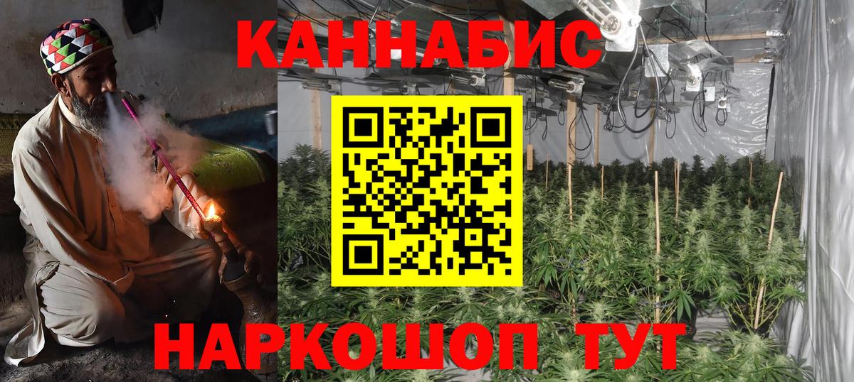 Шишки марихуана конопля  Марихуана сатива  Богородск  Вход с VPN  Конопля план 